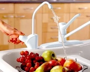 Сальмонельоз симптоми і лікування народними засобами