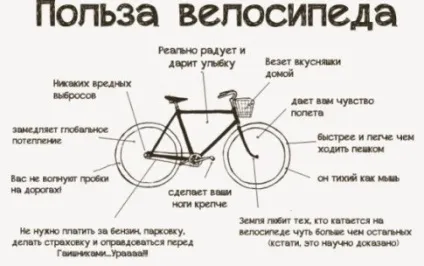 Найбільший велосипед