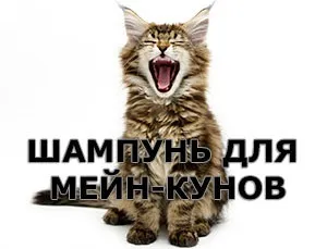 Шампунь для мейн-кунів, рекомендації фахівців (заводчиків) (шампунь) Шампунь для мейн-кунів, рекомендації фахівців (заводчиків)
