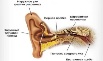 Сірчані пробки в вухах як видалити самостійно краплі, свічки, перекис відео (сірчані) Сірчані пробки в вухах як видалити самостійно краплі, свічки, перекис відео