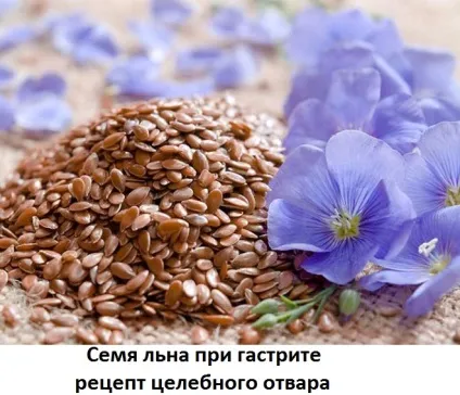 Насіння льону при гастриті рецепти, способи застосування, протипоказання, сайт про методи лікування (лікування міом) Насіння льону при гастриті рецепти, способи застосування, протипоказання, сайт про методи лікування