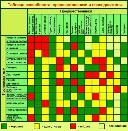 Сівозміну картоплі на дачній ділянці - 2 базові методики (сівозміна) Сівозміну картоплі на дачній ділянці - 2 базові методики