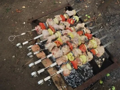 Шашлик з курки з овочами фото і відео рецепт (курки) Шашлик з курки з овочами фото і відео рецепт