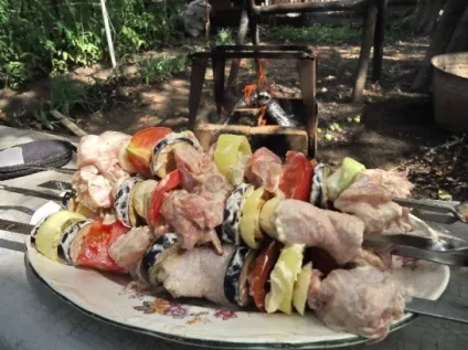 Шашлик з курки з овочами фото і відео рецепт (шашлик) Шашлик з курки з овочами фото і відео рецепт
