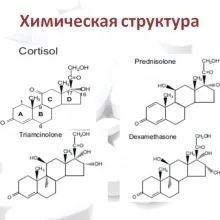Симптоми і лікування промежностной грижи у собак, статті (собак) Симптоми і лікування промежностной грижи у собак, статті