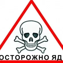 Симптоми і лікування промежностной грижи у собак, статті (симптоми) Симптоми і лікування промежностной грижи у собак, статті