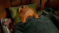 З котами ... можна! Доброго ранку (можна) З котами ... можна! Доброго ранку