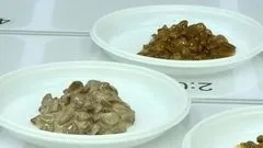 З котами ... можна! Доброго ранку (залізничний транспорт) З котами ... можна! Доброго ранку