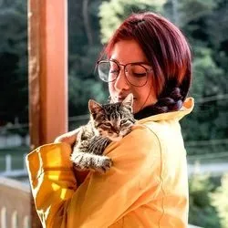Скільки в світі налічується кішок - все про котів і кішок з любов'ю (кішок) Скільки в світі налічується кішок - все про котів і кішок з любов'ю