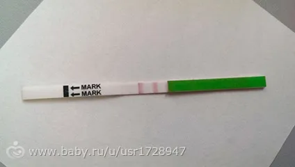 Скільки днів триває овуляція (овуляція) Скільки днів триває овуляція