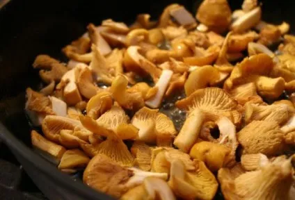 Скільки варити лисички і як їх потім використовувати (скільки) Скільки варити лисички і як їх потім використовувати