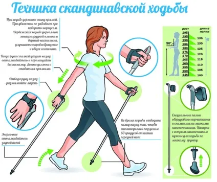 Скандинавська ходьба - як правильно ходити (ходьба) Скандинавська ходьба - як правильно ходити