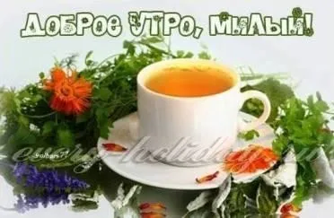 Смс побажання доброго ранку коханому чоловікові своїми словами (своїми) Смс побажання доброго ранку коханому чоловікові своїми словами