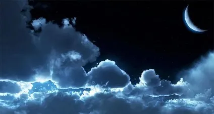 Сонник до чого сниться вівця