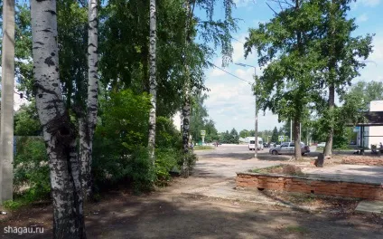 Солотча близько Рязані - красиве місце з чистим повітрям (чистим) Солотча близько Рязані - красиве місце з чистим повітрям