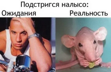 Смішні меми