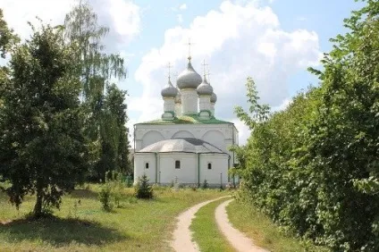 Солотча в мережі