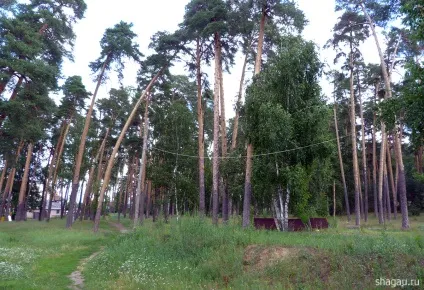 Солотча близько Рязані - красиве місце з чистим повітрям (місце) Солотча близько Рязані - красиве місце з чистим повітрям