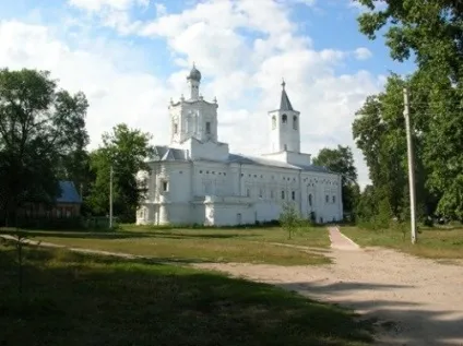 Солотча в мережі