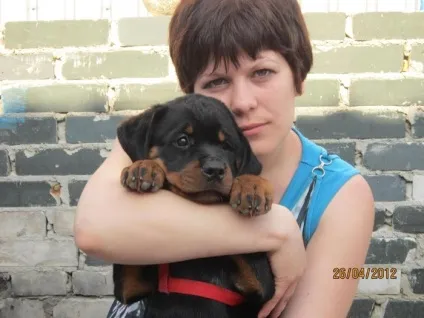 Собаки-роботяги цих милих псів врятували від смерті, а тепер вони «працюють» разом зі своїми господарями (разом) Собаки-роботяги цих милих псів врятували від смерті, а тепер вони «працюють» разом зі своїми господарями