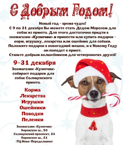 Собаки даром, собаки в добрі руки, притулок для собак солнцево (щенки безкоштовно) Собаки даром, собаки в добрі руки, притулок для собак солнцево