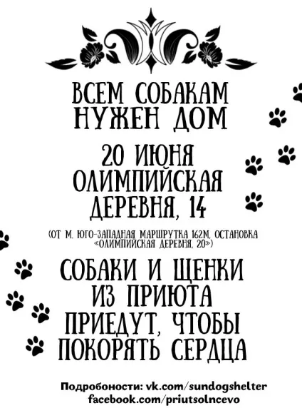 Собаки даром, собаки в добрі руки, притулок для собак солнцево (собаки в добрі руки) Собаки даром, собаки в добрі руки, притулок для собак солнцево