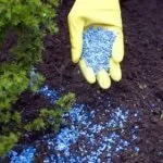 Поради щодо окультурення неосвоєних ділянок (окультурення) Поради щодо окультурення неосвоєних ділянок