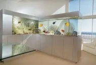 Сучасний дизайн квартири з акваріумом в вітальні (може використовуватися як) Сучасний дизайн квартири з акваріумом в вітальні