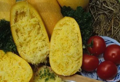 Сорти гарбуза з фото - гарбуз - овочівництво - бібліотека - сімейна ферма (гарбуза) Сорти гарбуза з фото - гарбуз - овочівництво - бібліотека - сімейна ферма