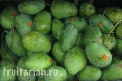 Сорти манго в Таїланді