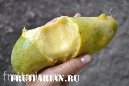 Сорти манго в Таїланді