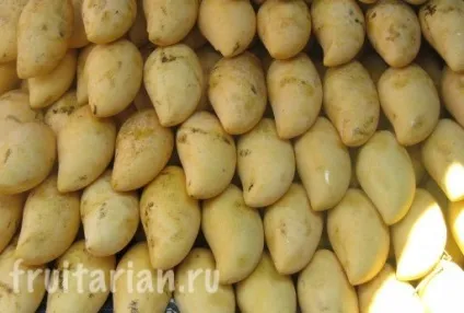 Сорти манго в Таїланді