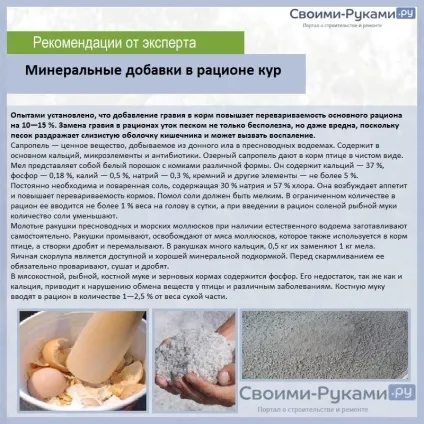Склад комбікорму для курей несучок (комбікорми) Склад комбікорму для курей несучок