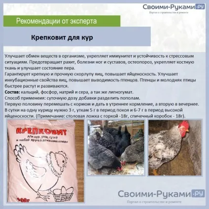 Склад комбікорму для курей несучок (комбікорми) Склад комбікорму для курей несучок
