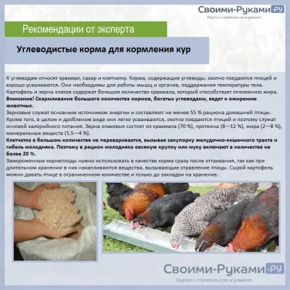 Склад комбікорму для курей несучок (корм яскравого кольору) Склад комбікорму для курей несучок
