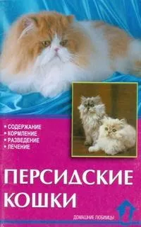 Стандарт перської кішки