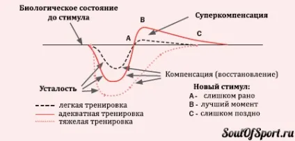 Засоби відновлення після фізичних навантажень (відновлення після тренування) Засоби відновлення після фізичних навантажень
