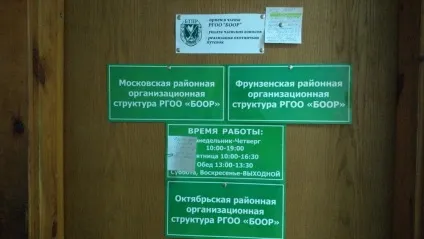 Став членом боор, fishbook