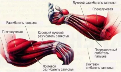 сталеві кисті