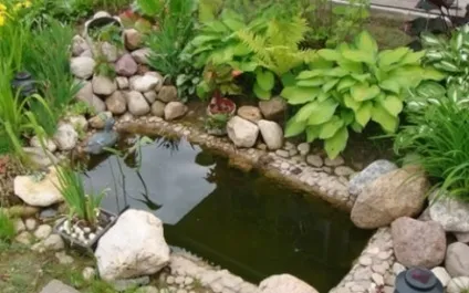 Створення ставка з ванною на дачі своїми руками фото і відео (ставка) Створення ставка з ванною на дачі своїми руками фото і відео