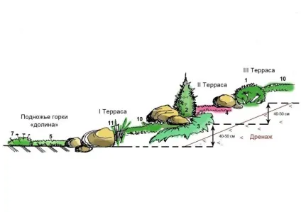 Рослини для альпійської гірки - які підходять, список багаторічних (альпійської) Рослини для альпійської гірки - які підходять, список багаторічних