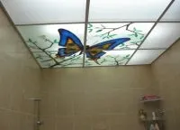 Скляна стеля