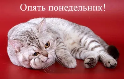 Статуси про понеділок