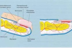 Суха кутикула що робити