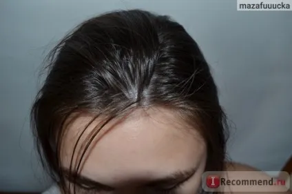 Сухий шампунь proffs refreshes brown hair - «виручає, коли немає часу на повноцінне миття (сухий) Сухий шампунь proffs refreshes brown hair - «виручає, коли немає часу на повноцінне миття