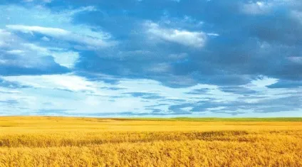 Так хто ж такі українці насправді (справі) Так хто ж такі українці насправді