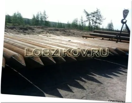 Пальові фундаменти пристрій і застосування (пальові фундаменти) Пальові фундаменти пристрій і застосування