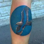 Тату чайка, значення і де краще всього виглядатиме (значення для дівчини) Тату чайка, значення і де краще всього виглядатиме