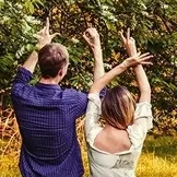 Теща дала зятеві