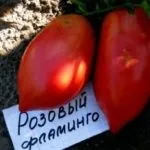 Томат «рожевий мед» опис сорту